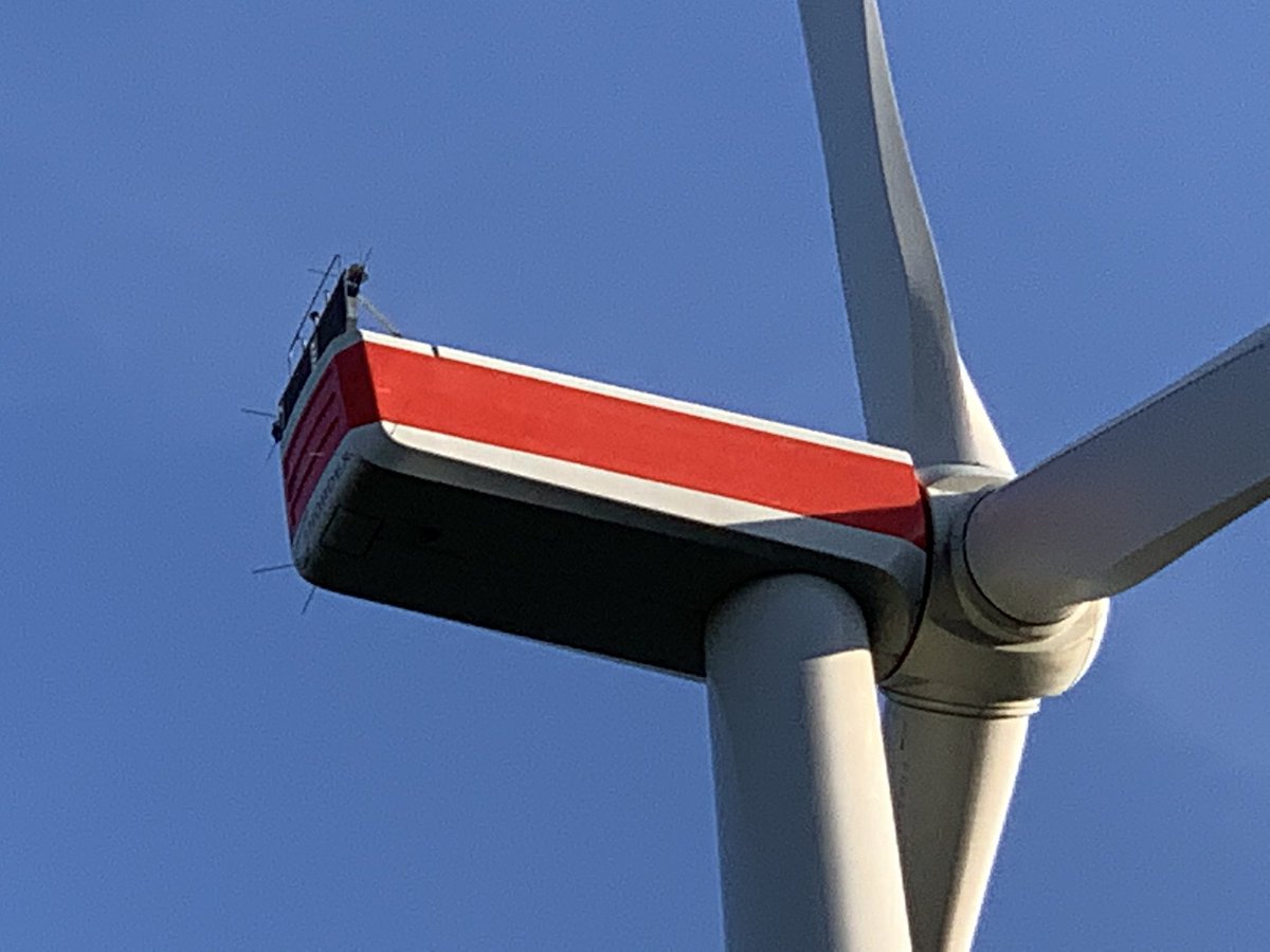 D.Gollnick tweet media