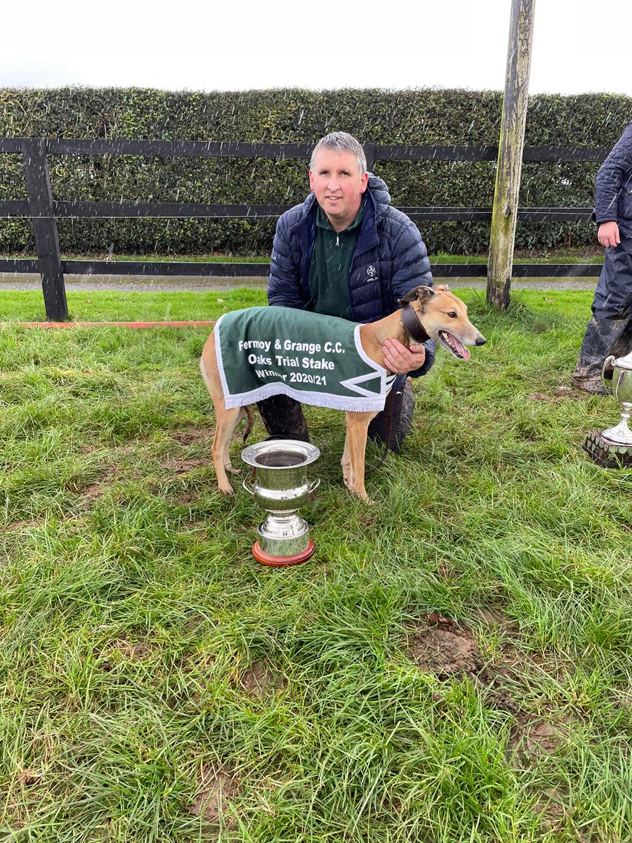 Peter O Reilly tweet media