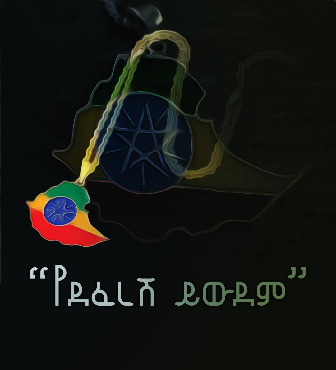 DFasilo's tweet photo. "በወሎ ግንባር በነበረው ውጊያ ኢትዮጵያውያን ያልሆኑ ኃይሎች ተሳትፈዋል" ጠቅላይ ሚኒስትር ዐቢይ አሕመድ https://t.co/arWr5DipcH