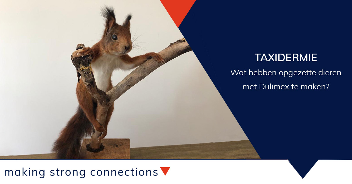 Wat hebben opgezette dieren met Dulimex te maken? 
Taxidermie, een unieke vorm van herinneren die je niet gauw met Dulimex associeert. Toch is er een unieke link te leggen. Welke? Arjan van Bos en Fauna vertelt bit.ly/3jYHAzA

#makingstrongconnections #alwayson #DX