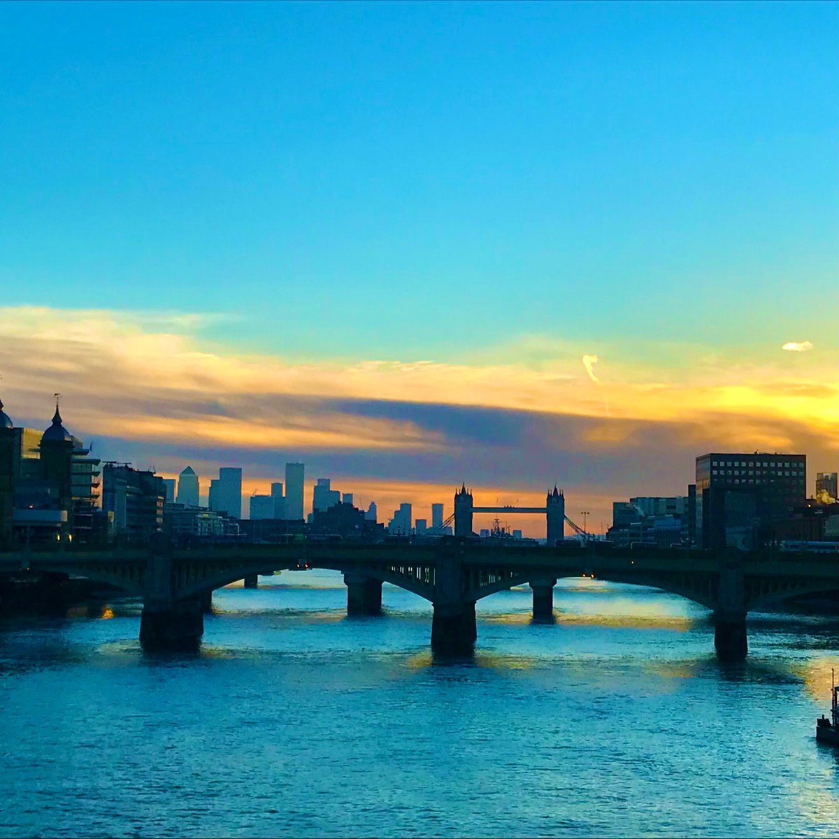 Hannah Kokoschka tweet media