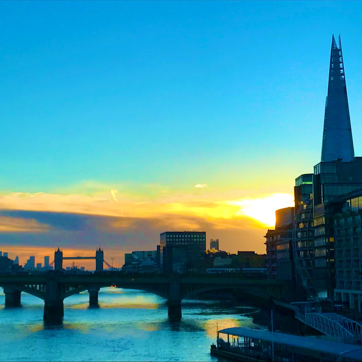 Hannah Kokoschka tweet media