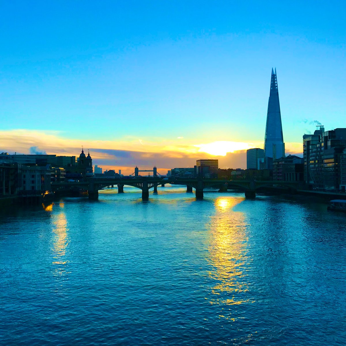 Hannah Kokoschka tweet media