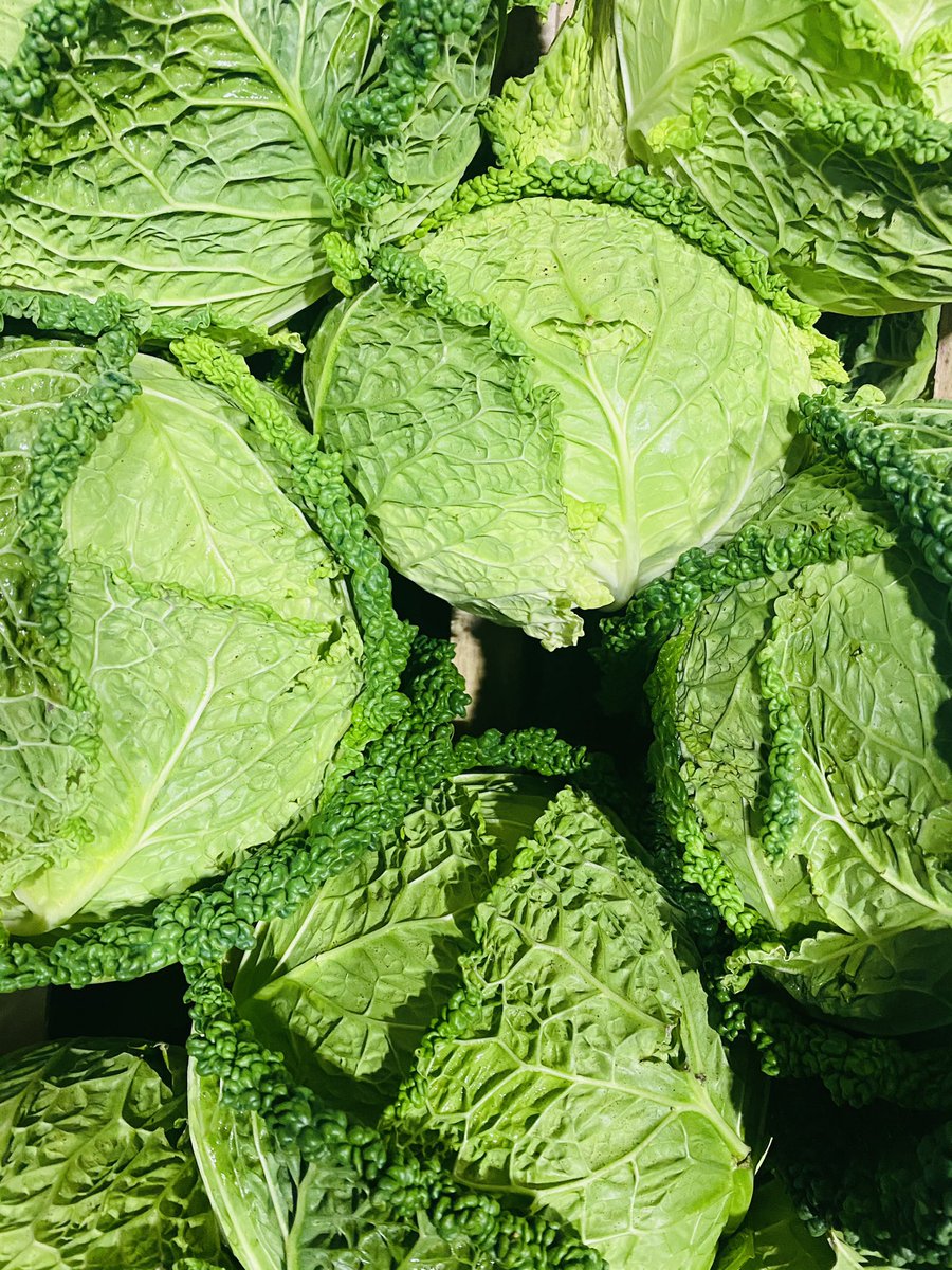 Perthyans tweet media