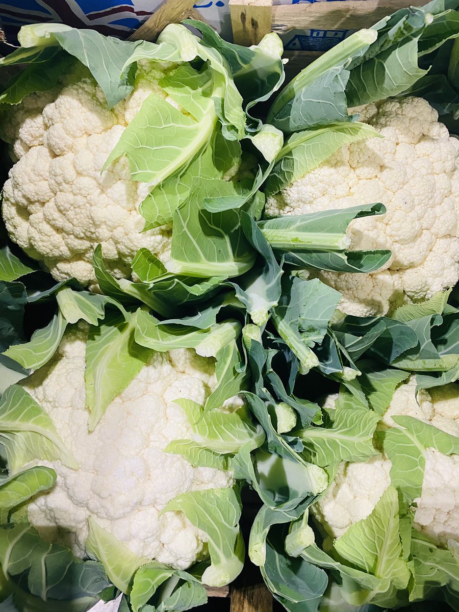 Perthyans tweet media