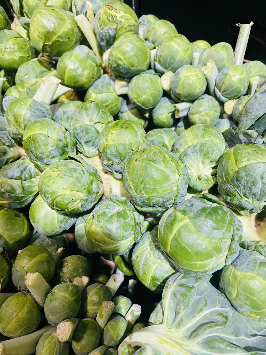 Perthyans tweet media