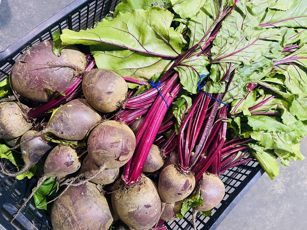 Perthyans tweet media