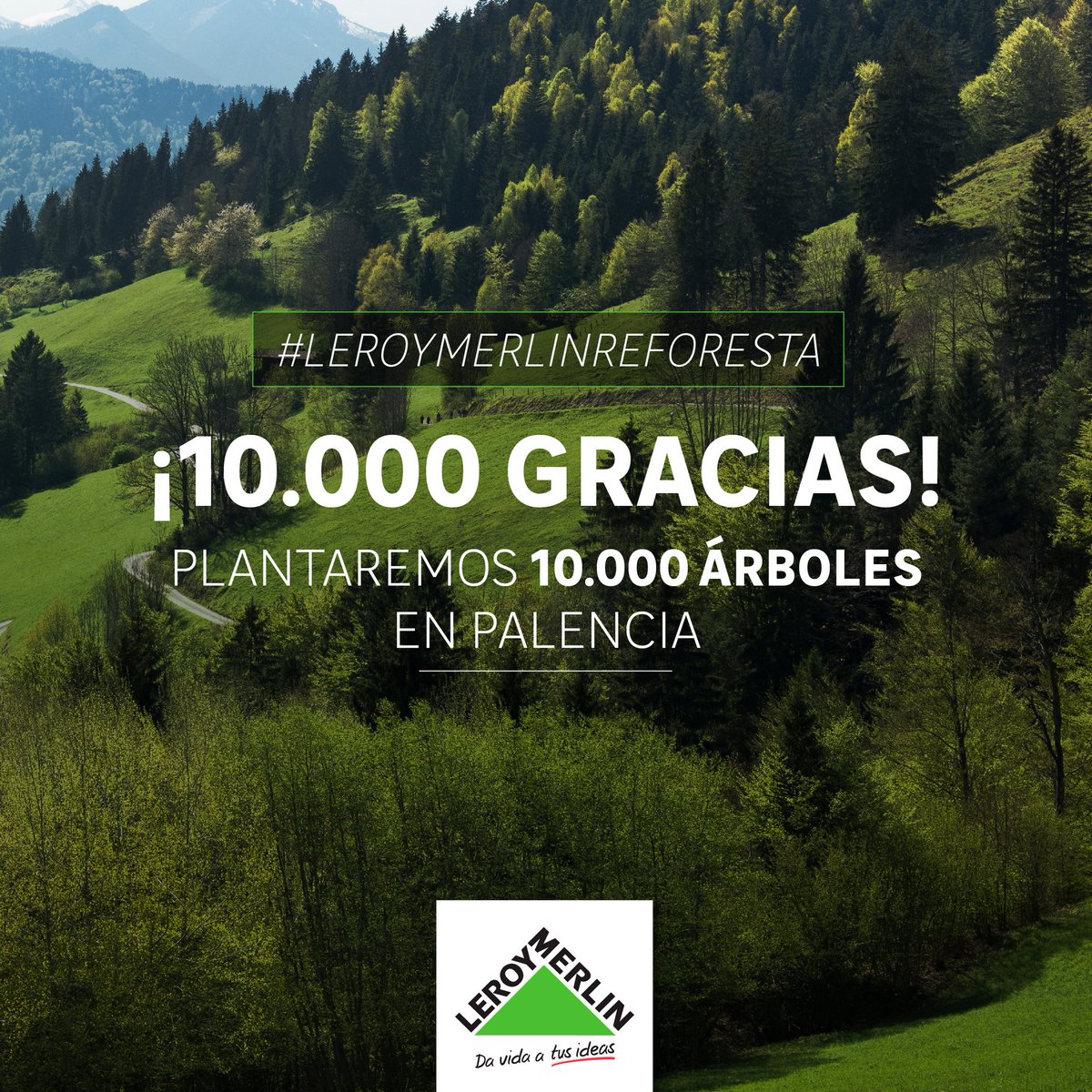 LeroyMerlinCorp's tweet photo. GRACIAS POR AYUDARNOS A ESCUCHAR A NUESTROS BOSQUES.🌲🙌

¡Hemos llegado al objetivo de 10.000 árboles! Y eso significa que este mes de noviembre reforestaremos Villanueva de Arriba, en Palencia.💚#LeroyMerlinReforesta 

¡Muy pronto más detalles!🌱👉https://t.co/j3YQOzTWhg https://t.co/KG0enb5Ku8