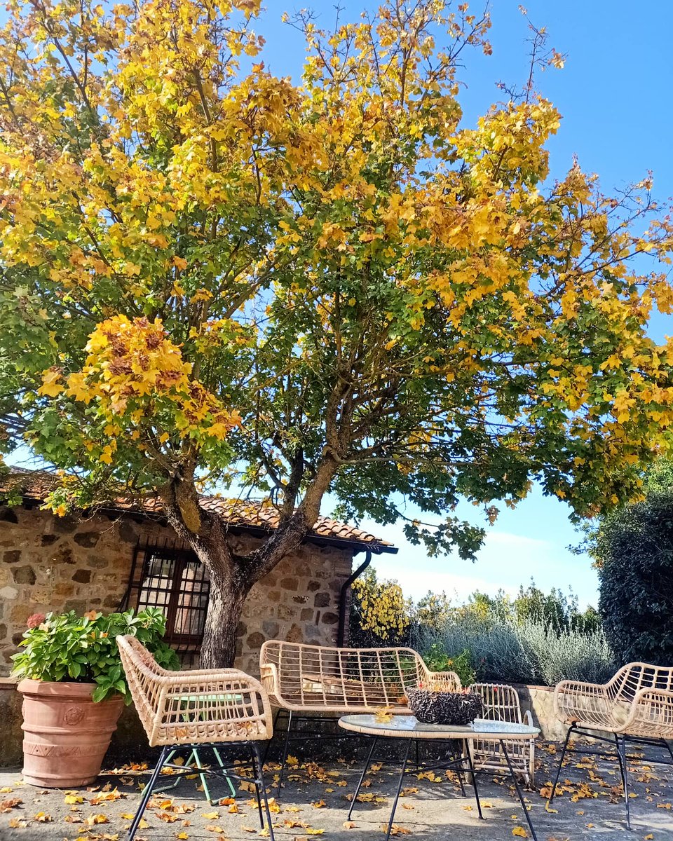 FrancescaCalori's tweet photo. #Autumn 🍁🍂 
La bellezza di questi colori 😍 https://t.co/k7k9pOAQ9a