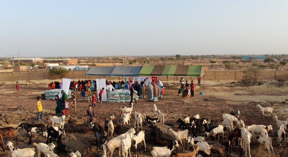 TİKA’dan #Nijer’de terör mağduru kadınlara destek

📍Tahoa iline bağlı Tchintabaraden kasabasında meydana gelen terör saldırılarında eşlerini kaybeden kadınlara 450 süt keçisi dağıtıldı.

📍TİKA ayrıca hayvanlar için 7 tondan fazla yem ve ilaç desteği de sağladı.