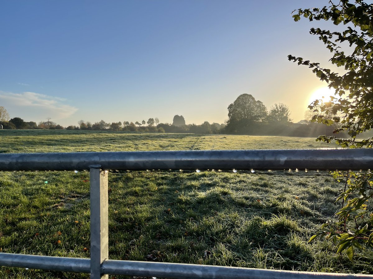 Nature’s morning reminder #COP26 #stratforduponavon #BCorp