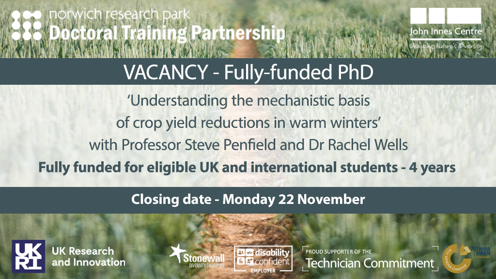 John Innes Centre (@johninnescentre) on Twitter photo FULLY FUNDED PhD - ‘Understanding the mechanistic basis
of crop yield reductions in warm winters’ with Professor Steve Penfield and <a href="/OilseedRachel/">Rachel Wells</a>
💷 - Fully funded for 4 years
📅 - Monday 22 November
okt.to/4WKVdn FULLY FUNDED PhD - ‘Understanding the mechanistic basis
of crop yield reductions in warm winters’ with Professor Steve Penfield and <a href="/OilseedRachel/">Rachel Wells</a>
💷 - Fully funded for 4 years
📅 - Monday 22 November
okt.to/4WKVdn