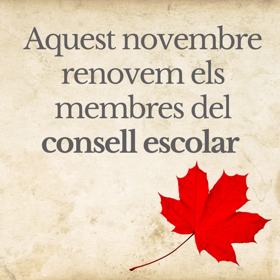 INSDolorsAleu's tweet photo. Avui, dia 2 de novembre, s'inicia el procés de la renovació dels membres del consell escolar. Les votacions es faran el 23 de novembre. Esperem la col·laboració de totes i tots vosaltres!
#femfuster #institut #consellescolar #votacio https://t.co/qqQfnlt3EQ