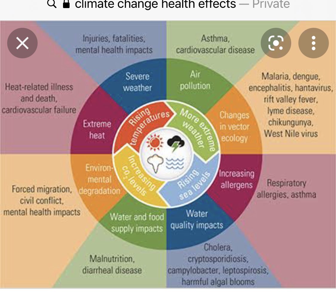 PeteOSullivanPT's tweet photo. Why is it that as clinicians and researchers we are often so vocal on small stuff - but silent on the impact of climate change and what our governments are or aren’t doing? Isn’t this a massive health issue? Shouldn’t we hold politicians to account? @apaphysio @LiberalAus https://t.co/AxyfvNXmBq