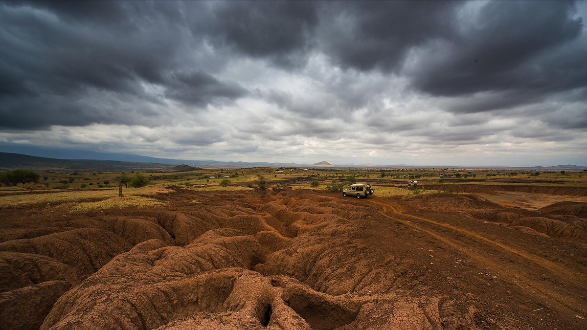 We are facing a global soil crisis. To develop solutions, we need a whole systems approach. 

A 🧵 with <a href="/mfitzsimons2/">Mark Fitzsimons</a> and Prof. Will Blake [1/5]
#SystemsThinking #PlymouthPerspectives #COP26