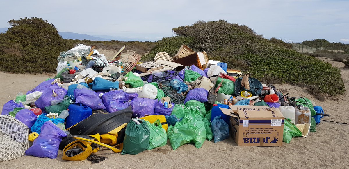 PaisajeLimpio's tweet photo. Felicidades!👏El viernes concluimos #MiPlayaSinPlásticos de @PG_Espana y @CarrefourES con 3.000Kg residuos retirados en #PuntaEntinas GRACIAS💪@AytoElEjido @ServiciosAND #Elárboldelaspiruletas @Moipalaran voluntarios de la empresa @luxeapers @sekalboran #IESSantoDomingo #IESMurgi https://t.co/lPhJFYZ8A2