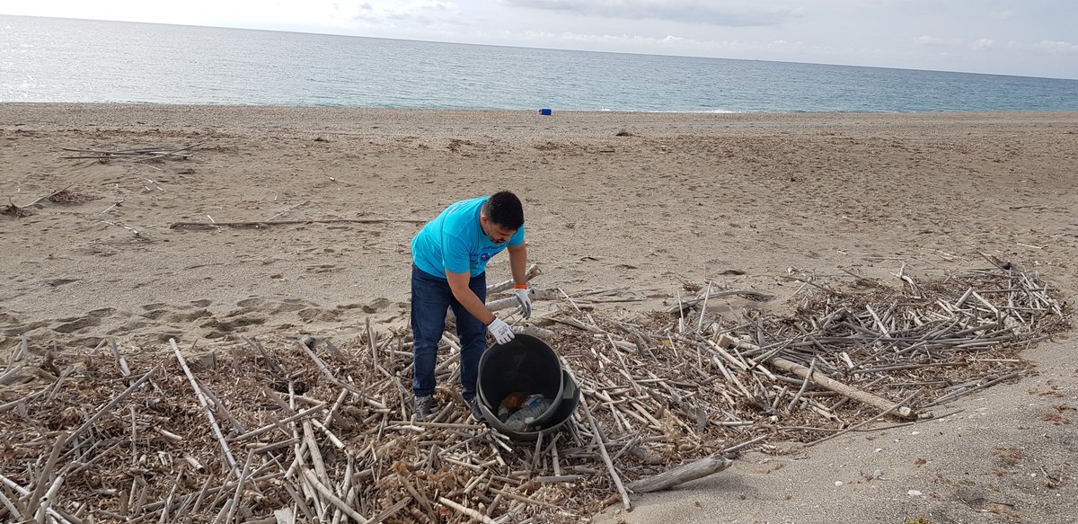 PaisajeLimpio's tweet photo. Felicidades!👏El viernes concluimos #MiPlayaSinPlásticos de @PG_Espana y @CarrefourES con 3.000Kg residuos retirados en #PuntaEntinas GRACIAS💪@AytoElEjido @ServiciosAND #Elárboldelaspiruletas @Moipalaran voluntarios de la empresa @luxeapers @sekalboran #IESSantoDomingo #IESMurgi https://t.co/lPhJFYZ8A2