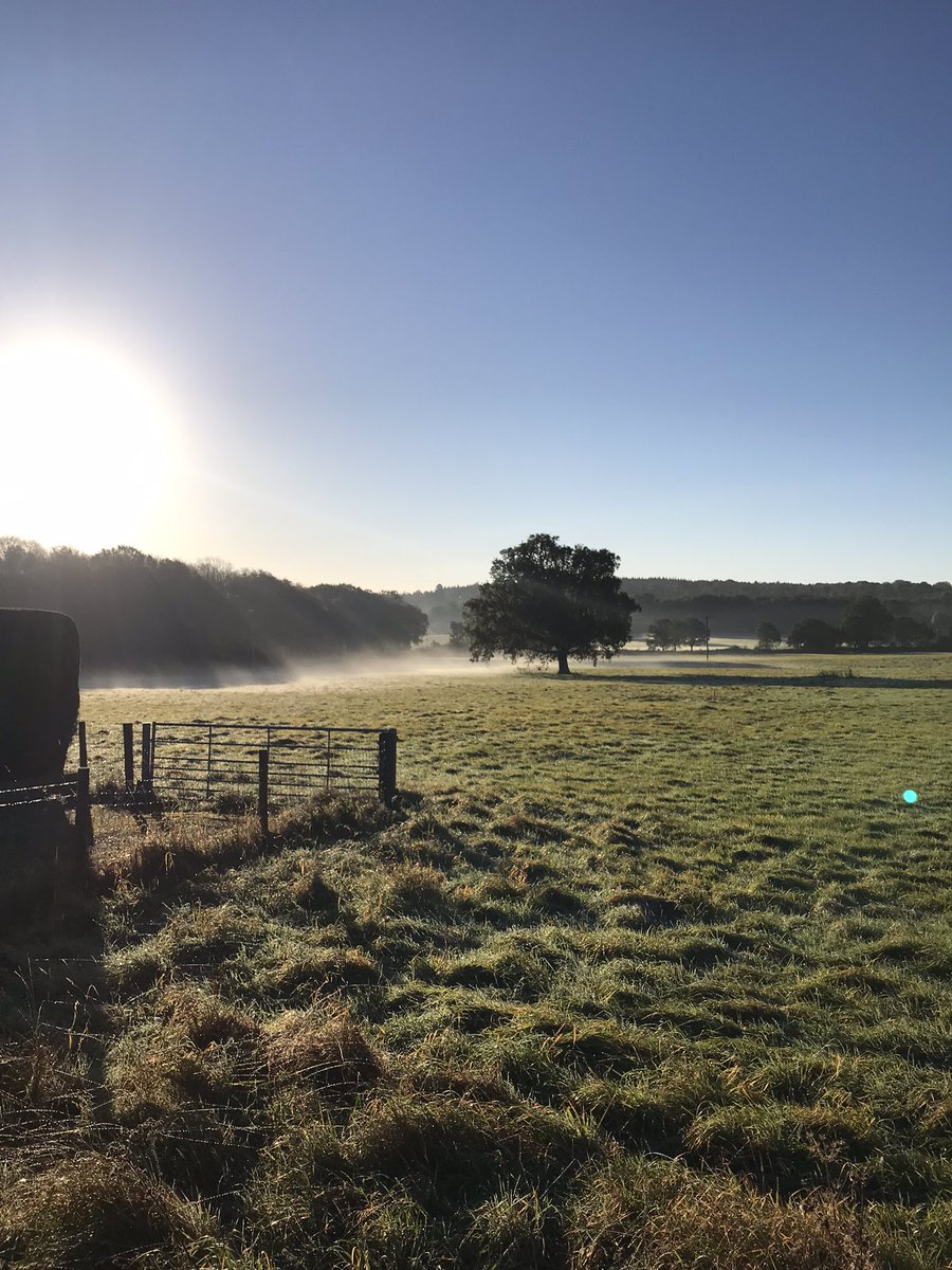 SamWildwoodPR's tweet photo. What a beautiful morning! Howβs the view from your office on this fine autumnal day? #autumn #viewfromwork https://t.co/bWbcVIaiGI