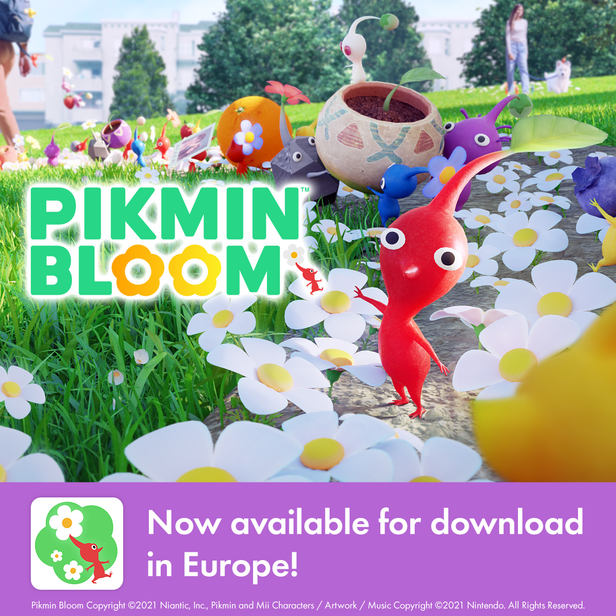 Pikmin Bloom tweet media