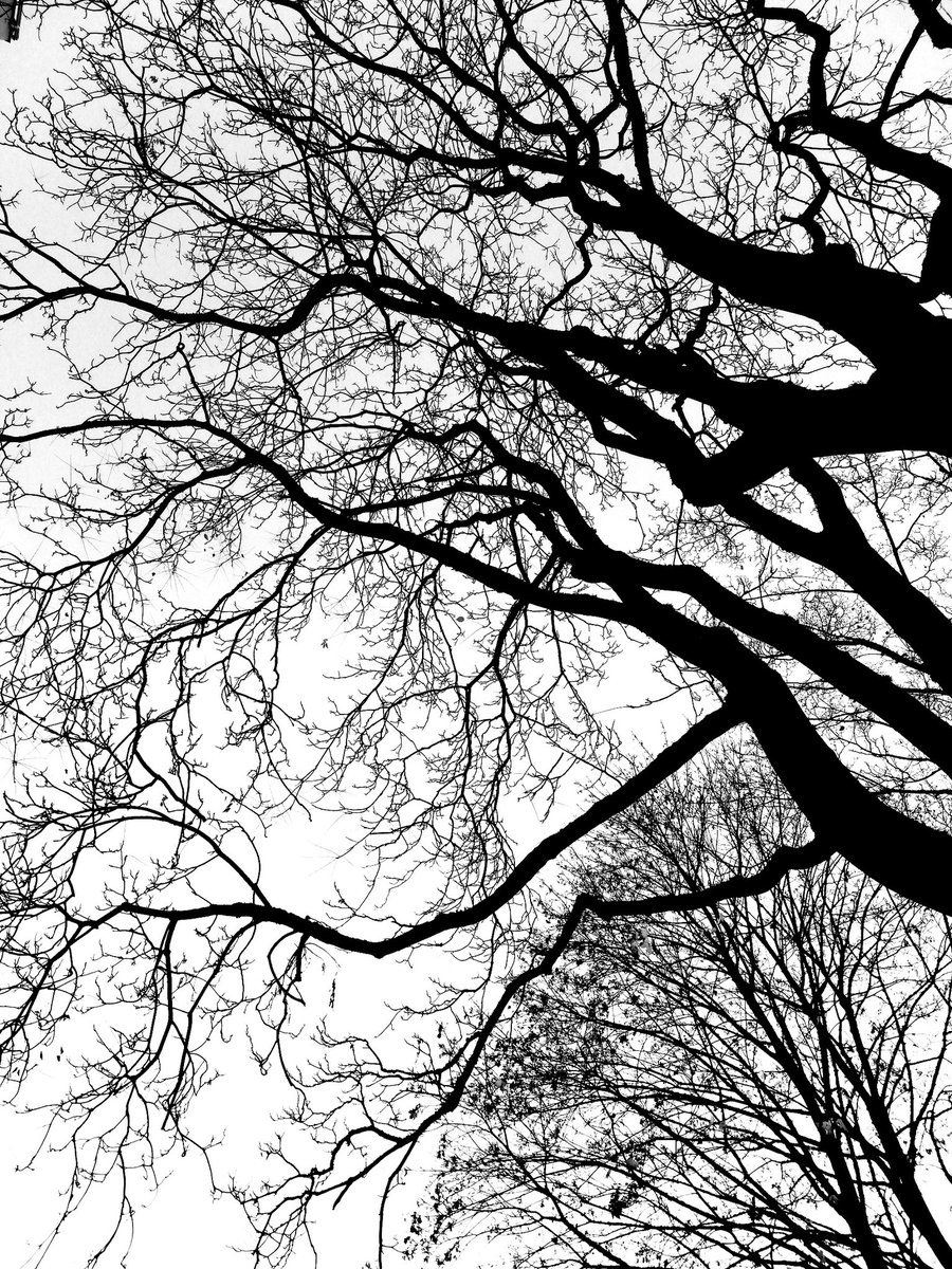 Ich mag Bäume 😍😂