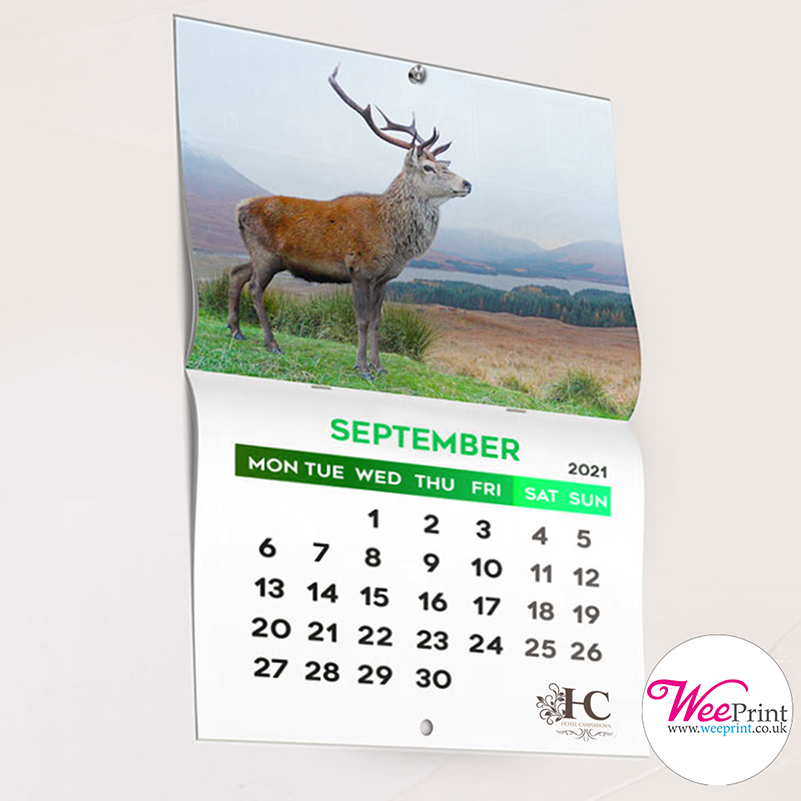 Give your customers a reminder all year round that you are there to help with our stunning drilled calendars. These calendars are easy to put up and they show off two pages at a time – perfect for creating a personalised Christmas present!
weeprint.co.uk/all-products/d…

#christmas