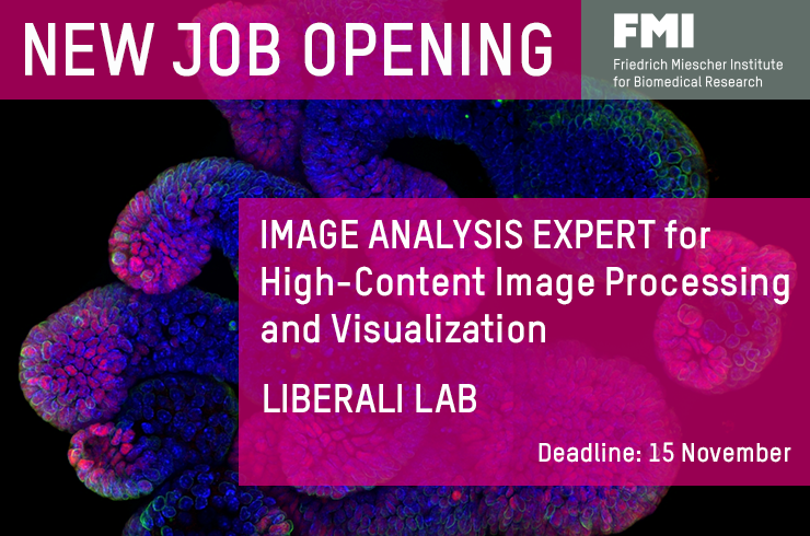 FMIscience's tweet photo. #JobAlert: The group of @priscaliberali is hiring an Image Analysis expert for high-content image processing and visualization.
📝For more details and to apply: https://t.co/UAI0MdAqHH
📅Applications close November 15, 2021
#ImageAnalysis #ImageProcessing #ImageVisualization https://t.co/BETcxwa6lE
