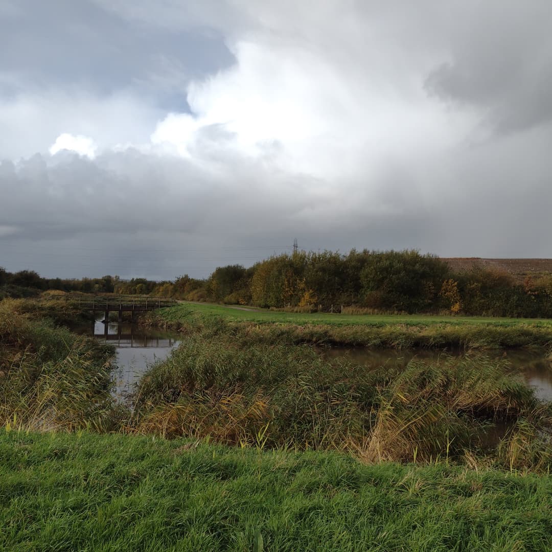 SprigofHeather's tweet photo. Promenado laŭ la rivereto Rĥosog kaj tra la Parko Tredelerĥ semajnfine. Stroll along Rhosog Fach reen and through Parc Tredelerch at the weekend. #TranslatorWalking #TradukistoVagadas https://t.co/vPwxpEbYEG