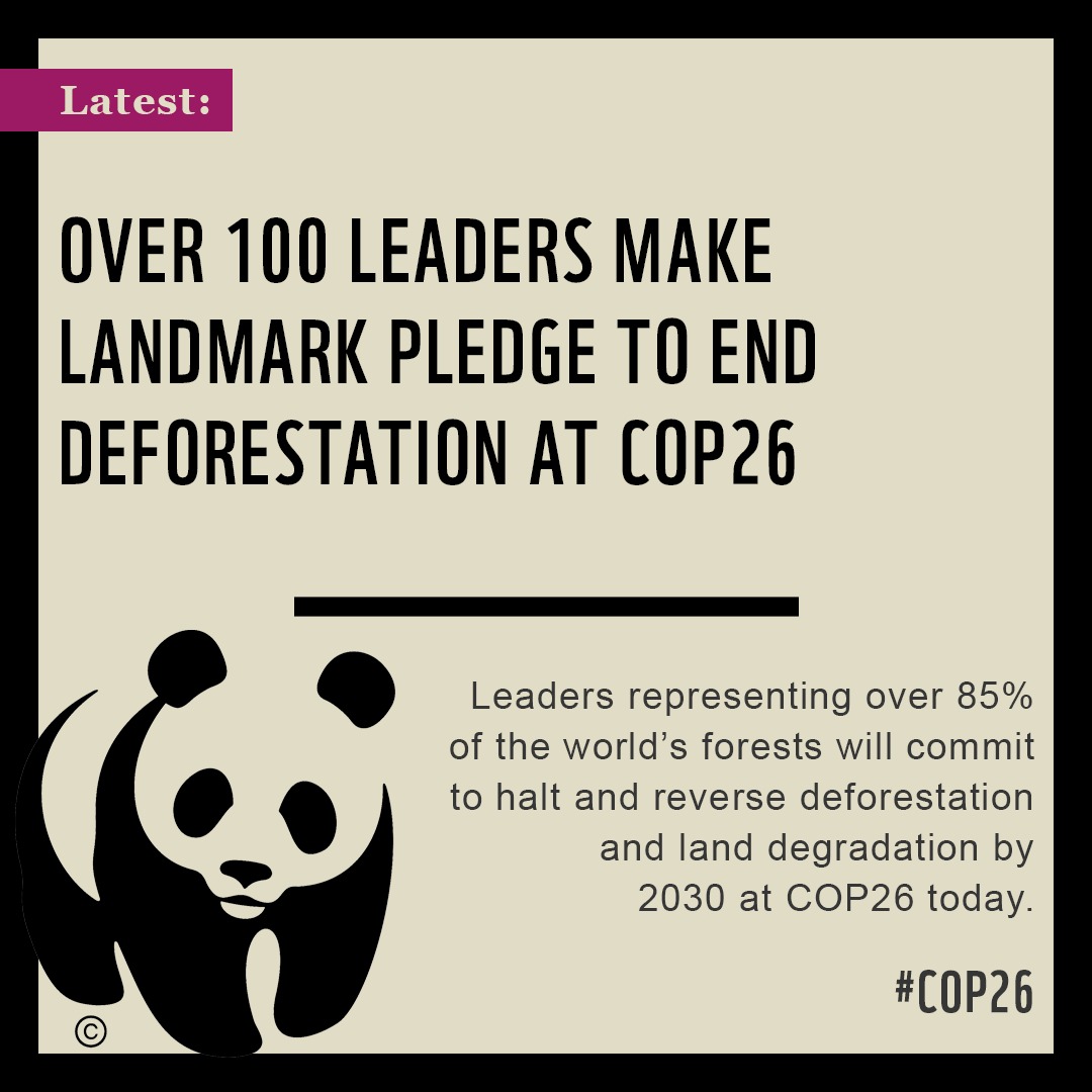 WWF tweet media