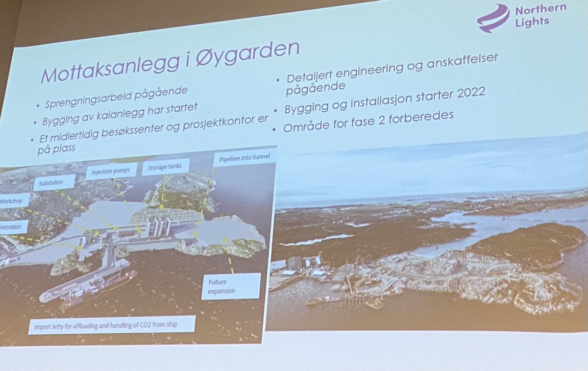 Tom Georg Indrevik tweet media