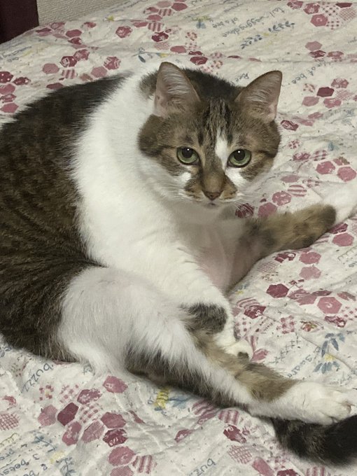 サウナにいるおっさん 