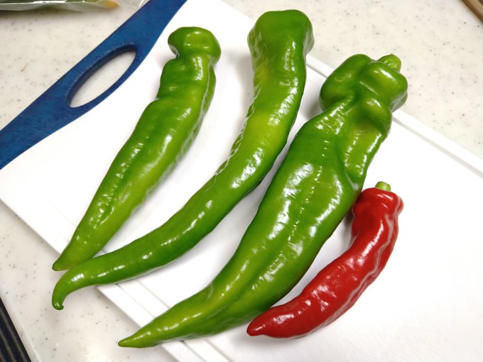 レシピ本を見て万願寺とうがらし焼く〜。美味そう〜♪ それにしてもデカい(汗) 大きいのは23センチもあるわん。 