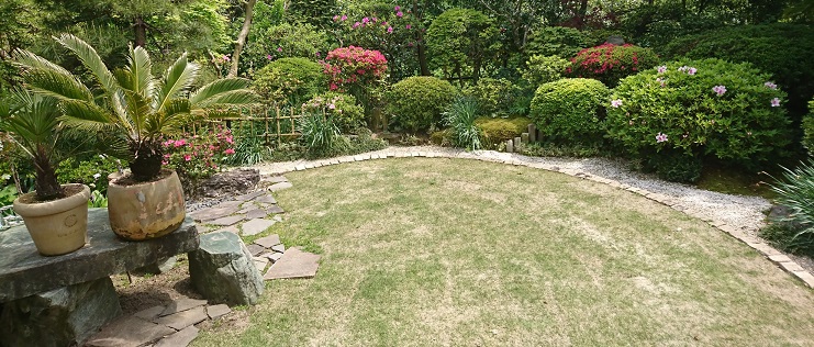 omoidasiwarai5's tweet photo. 親父が春に実家の庭を手入れしてカッコよくすると大見えを切っておいて、春に買ったソテツもまだ庭のテーブルの上に置いたままで結局そのまま何もせず今年も冬をむかえるらしい。
忙しいのな。 https://t.co/SqeULRzWM3