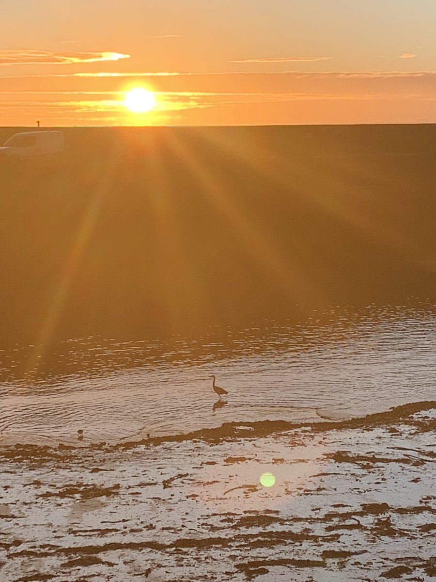 SeaSkyCraster's tweet photo. Birds
Craster 2nd November 2021 https://t.co/EYi5Xb1Od3