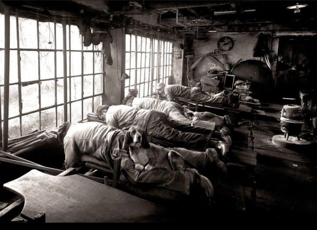 Knife grinders in France laying face down, to save their backs from being hunched over all day.if you look closely you can see their dogs on their legs, they were encouraged to bring them in to keep them company and to act as heaters to keep them warm.  Photo c1902.