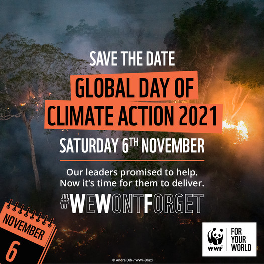 Norwich Eco Hub (NorwichEcoHub) Twitter