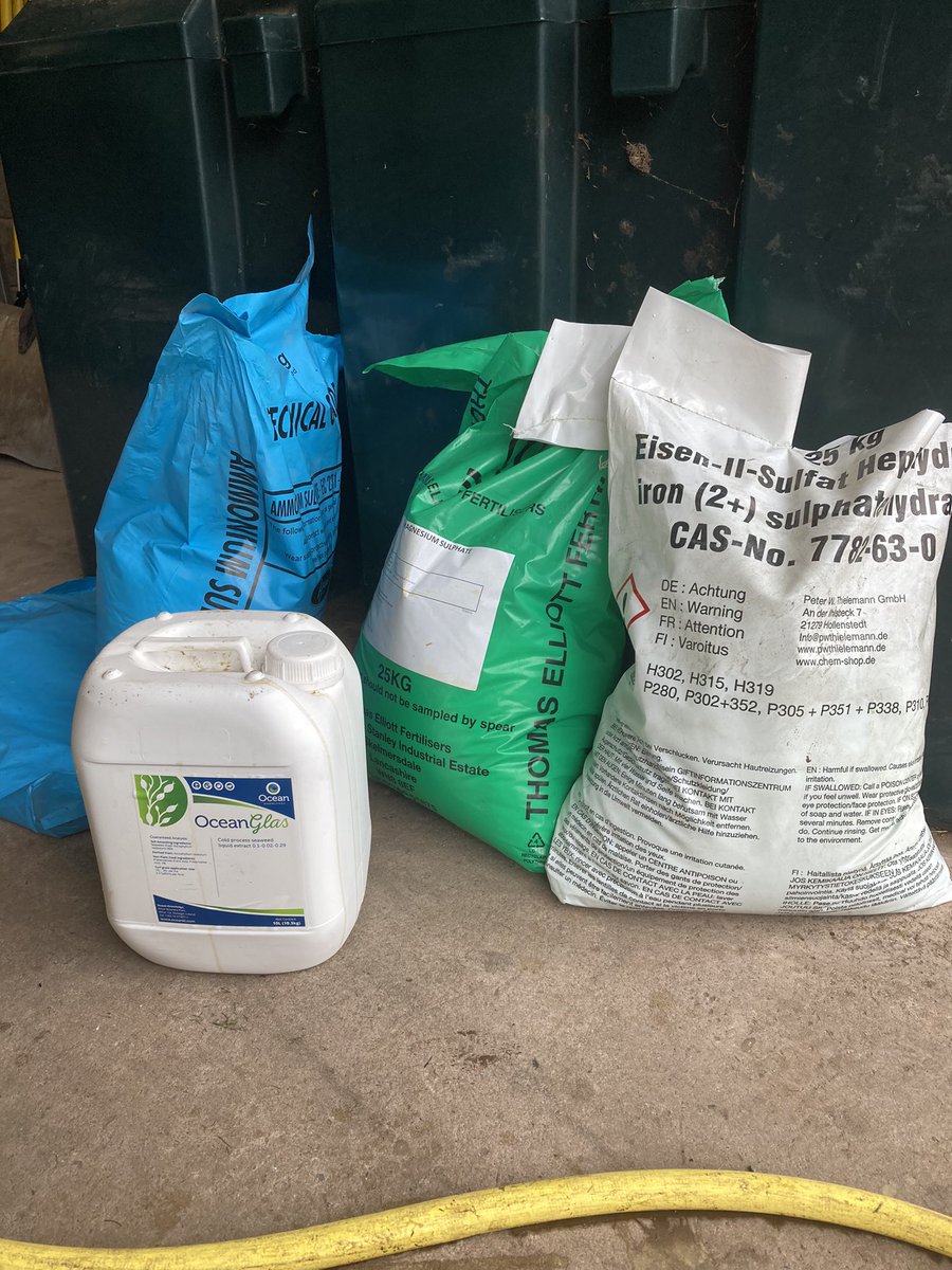 HOC being raised as soil temps fall…. Winter hardeners MGSO4, FESO4, AMSO4 phosphite & seaweed going out. Stiffin the plant up a wee bit from the cold ✅