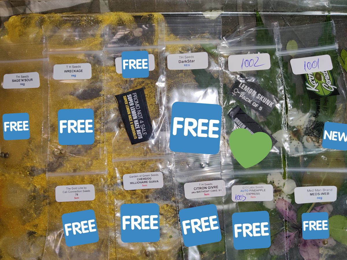 PotMarijuana's tweet photo. Yay mail. 
#BeanFiend
#AhhFuckFuckinYeahFuckinBeansBuddy
Thanks @attitudeseeds but FFS can I get a slap once in a while? Freebies are fire but FFS we like mf slaps round here. 

#Mmemberville
#CannabisCommunity 
#StonerFam https://t.co/iinmkqLpsV