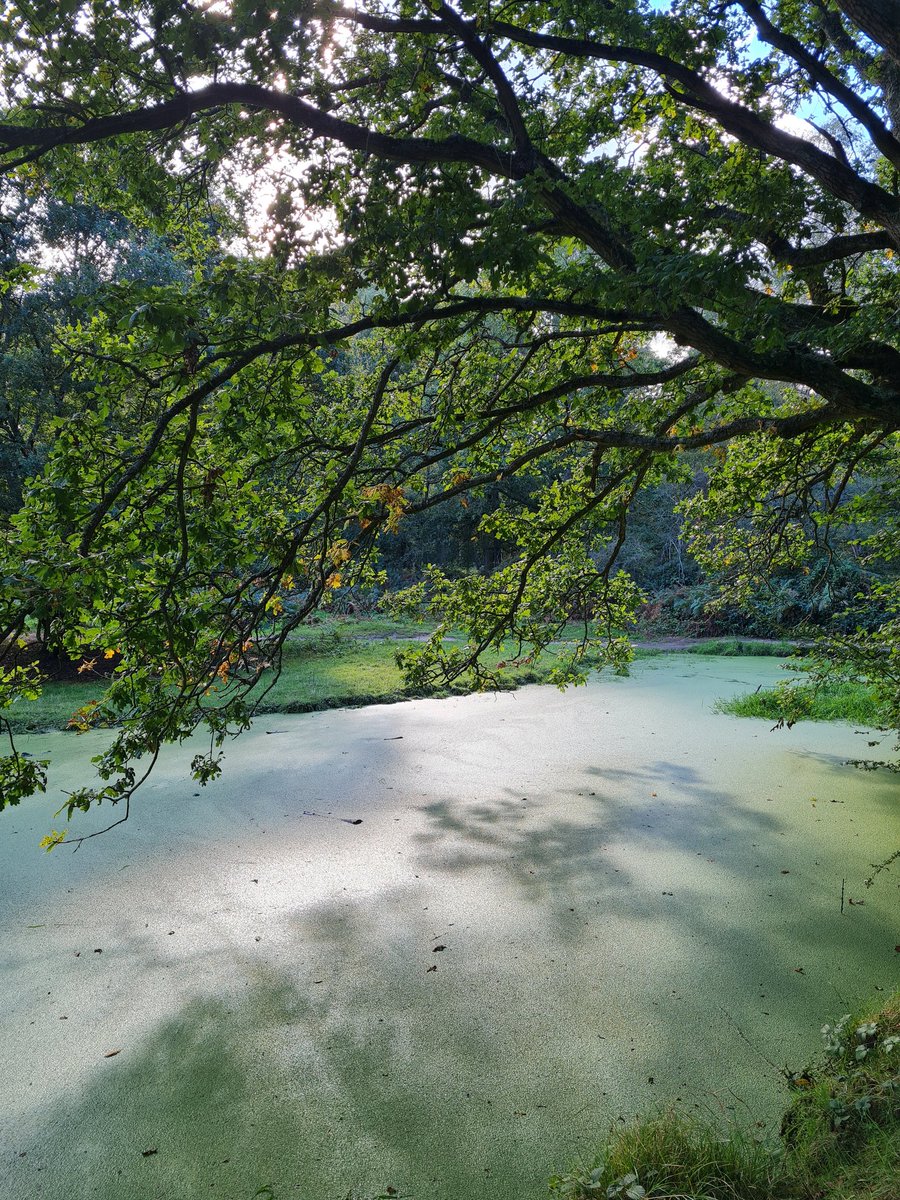 allthingscolour's tweet image. Cause it's a good day