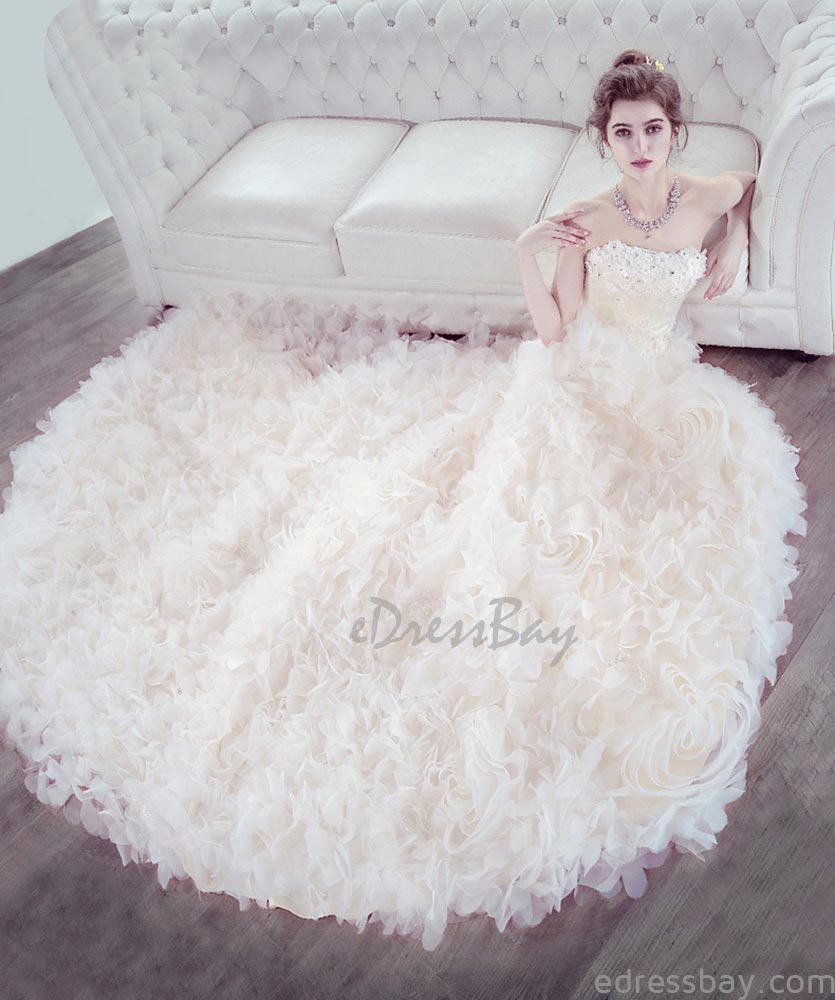 edressbaycom's tweet photo. A new month, a new beginning. Beauty, just like the stories stated by you and me, Beauty is around you. #edressbay #weddingdress #eveningdress #promdress #bridesmaiddress #partydress https://t.co/uRcd9bn91k https://t.co/kgggHeUOpX
