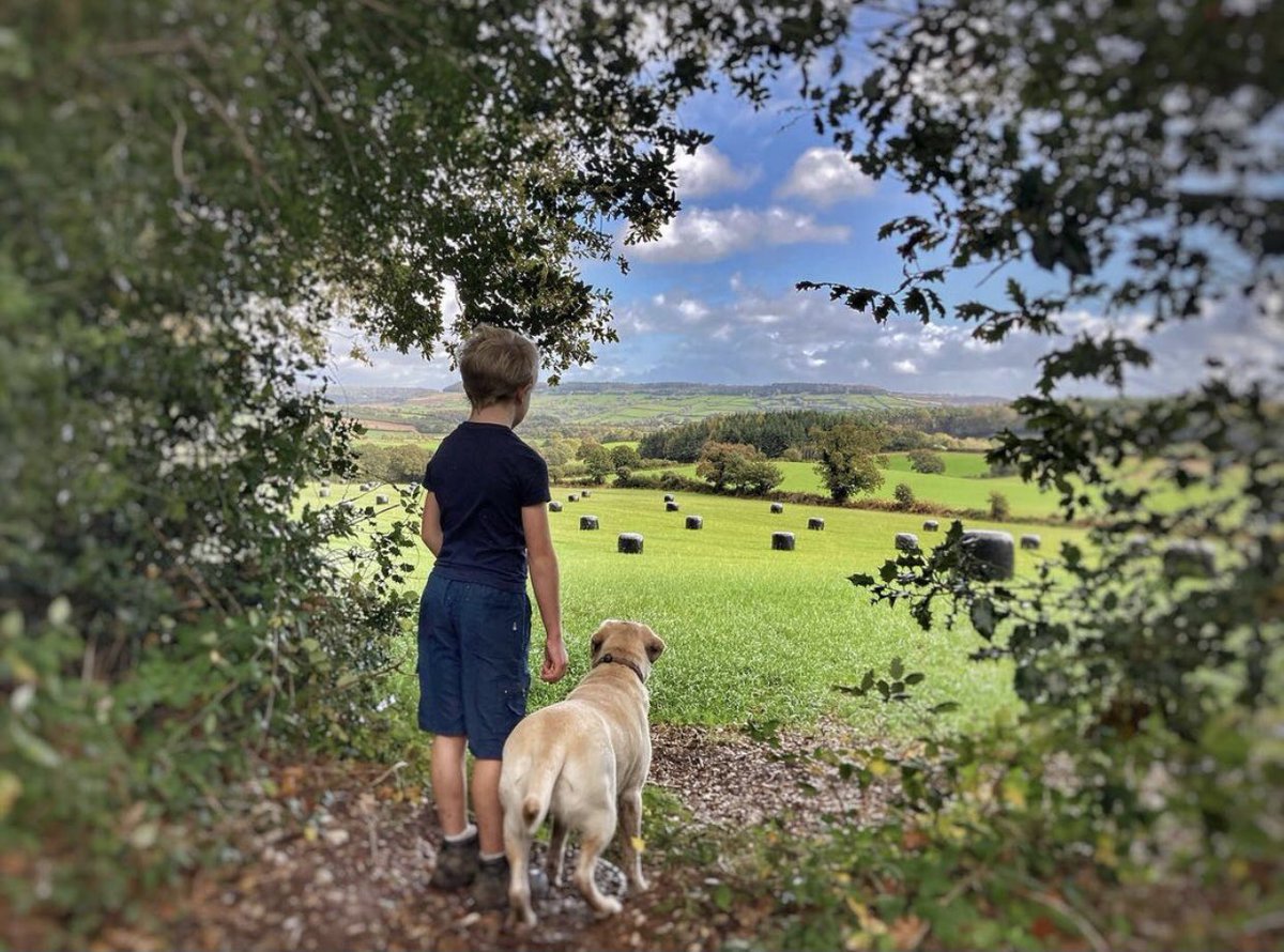 ExeterLiving's tweet photo. Taking a moment to enjoy the view ~ edge of Woodbury Common looking out towards Colaton Raleigh 

📸 by @lukekelsall (Instagram)

#Exeter #Devon #Devoncountryside https://t.co/E0zPHzePaa