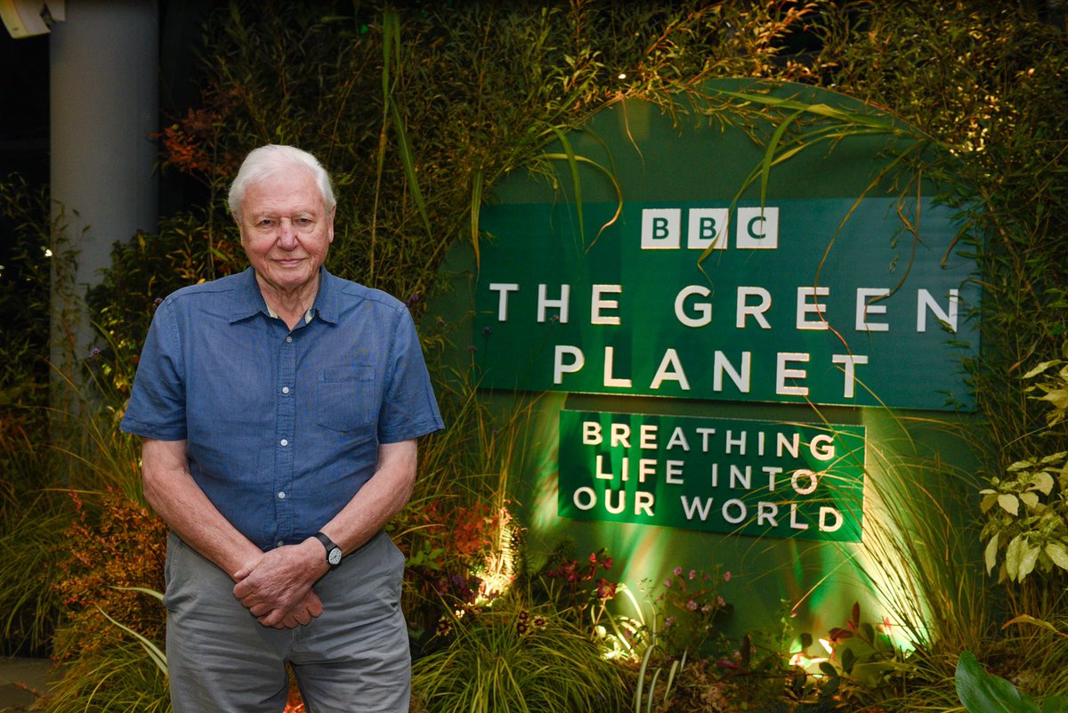 filmsat59's tweet photo. Films at 59 are proud to provide #PostProduction for The Green Planet for @bbcstudios premiered at #COP26
 @BBCStudiosPress @filmsat59 
#GreenPlanet #comingsoon #COP26 #BBCStudios #NaturalHistoryUnit https://t.co/AdhQxFNf4q https://t.co/tyOFZVl32s
