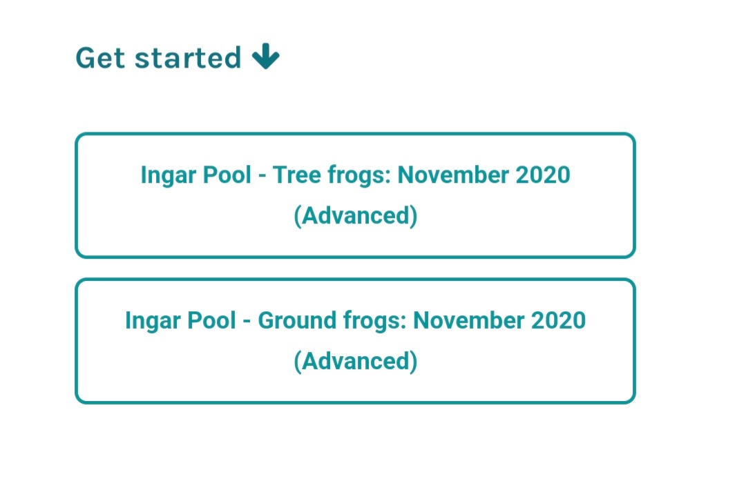 Frog Find tweet media