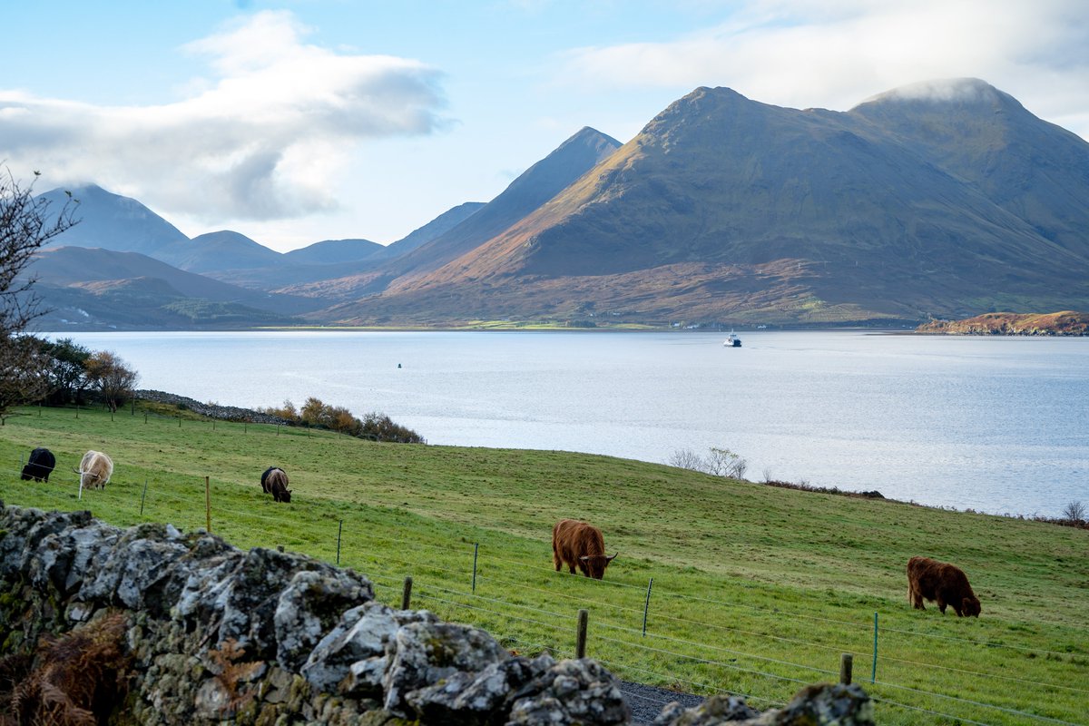 Isle of Raasay Distillery tweet media