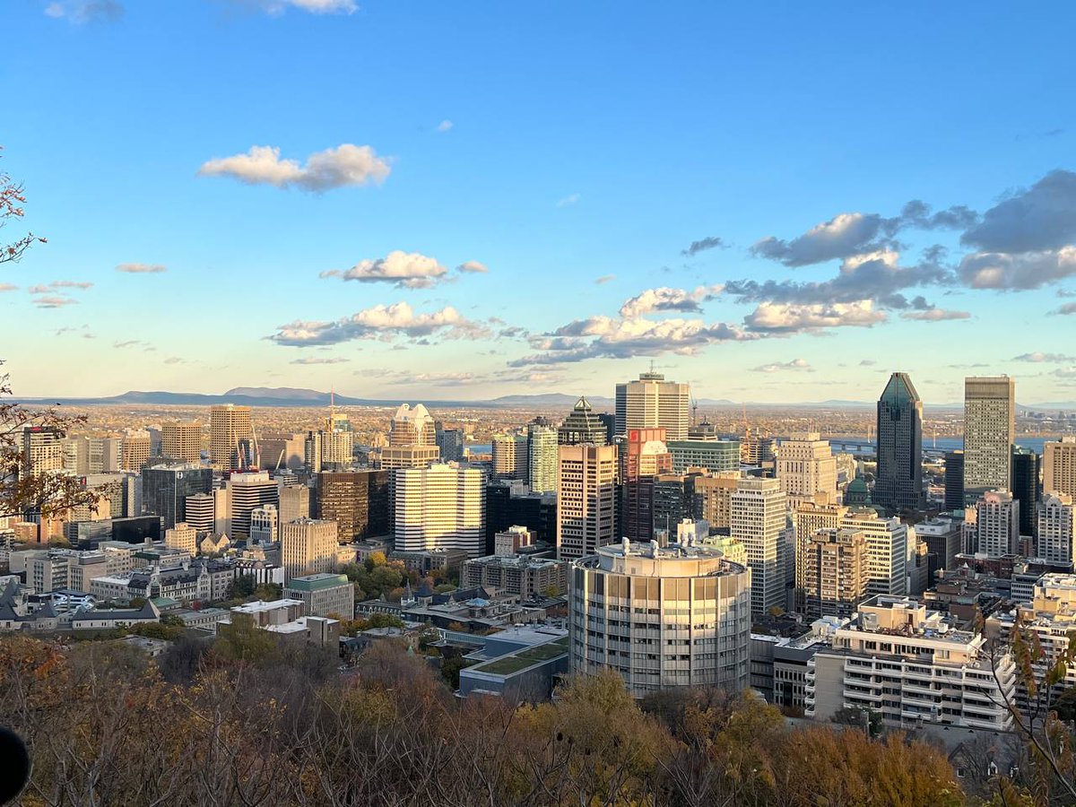 Need For School tweet media