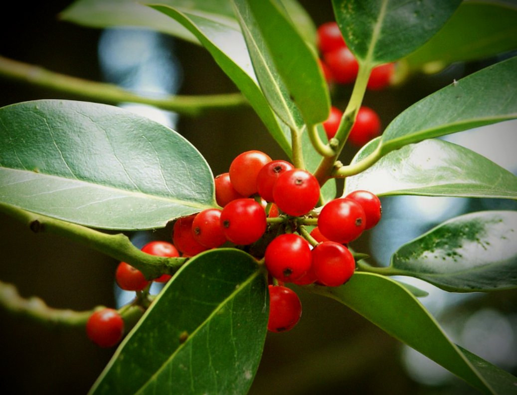 Autumn all around 🍂