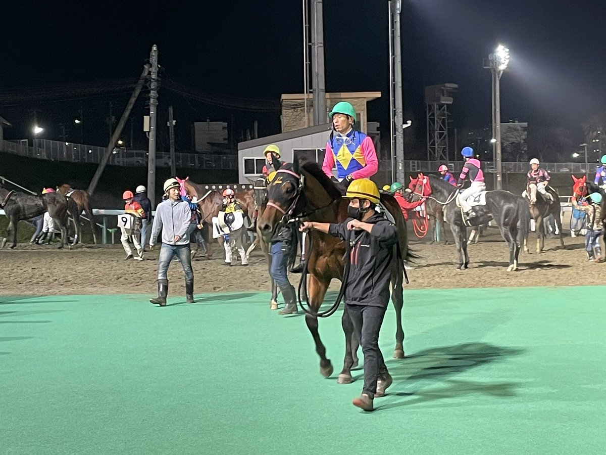 ocha_chappy's tweet photo. 6年ぶり2度目の門別滞在中

今日はお客さんの立場で
グランシャリオナイター観戦
スタンドをウロウロ
悪いことしてるわけじゃないのに
なんかソワソワするな
当たる気がしないので
馬券は買ってませんが

場内にいずみ食堂発見
久々に食べるいずみのソバ
25年ぶりぐらいかな

明日は頑張ろう https://t.co/G2EIWqlsBE