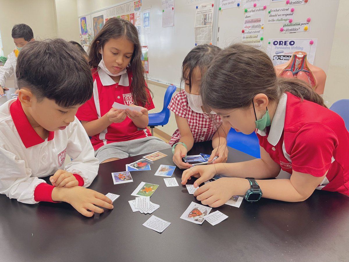 MakLydia's tweet photo. Thank you @BlueCornerMar for teaching us about animals and corals today during our Junior Marine Biologist after school program. Can’t wait for next week! 🦀🐢🐬 #tismacao #ayearfortheocean https://t.co/4U28e76j9C