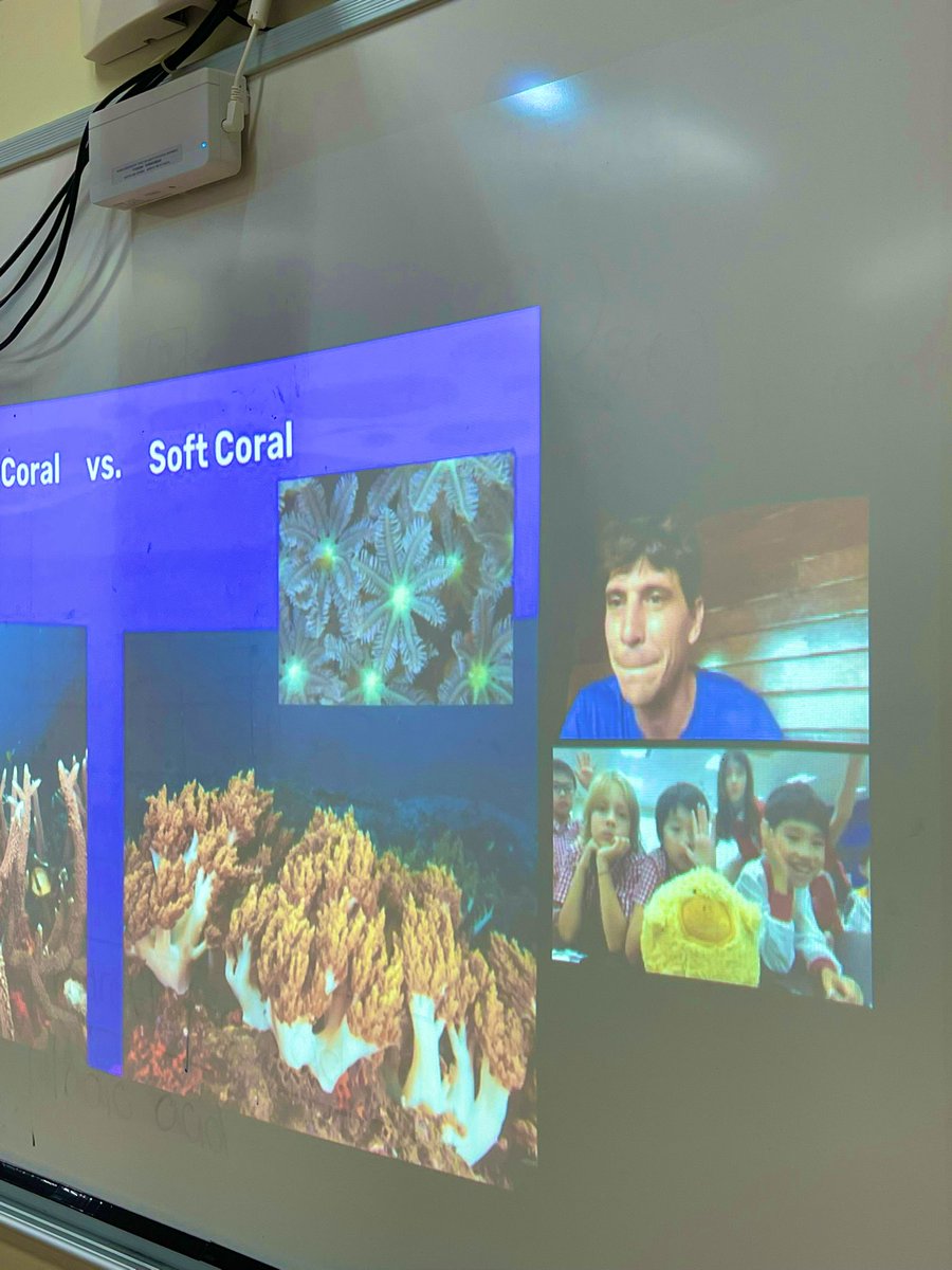 MakLydia's tweet photo. Thank you @BlueCornerMar for teaching us about animals and corals today during our Junior Marine Biologist after school program. Can’t wait for next week! 🦀🐢🐬 #tismacao #ayearfortheocean https://t.co/4U28e76j9C