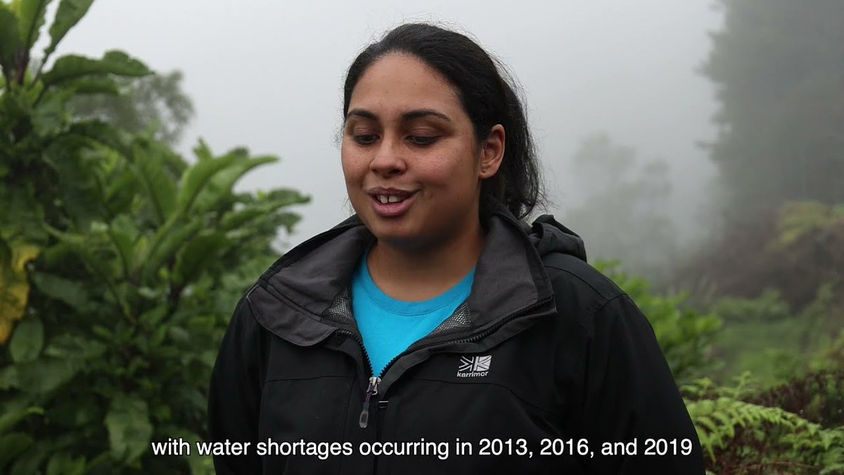 SaintsDidNext's tweet image. We are excited to share a short film produced by International National Trusts Organisation @intoheritage about the #StHelena Cloud Forest Project! 
It will be premiered at the #COP26Glasgow climate conference Sat 6 Nov. 
Footage captured by #WTSDN 
buff.ly/3bu54YC