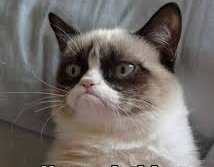 Mere tweets koi retweet hi nhi krthe😔😔